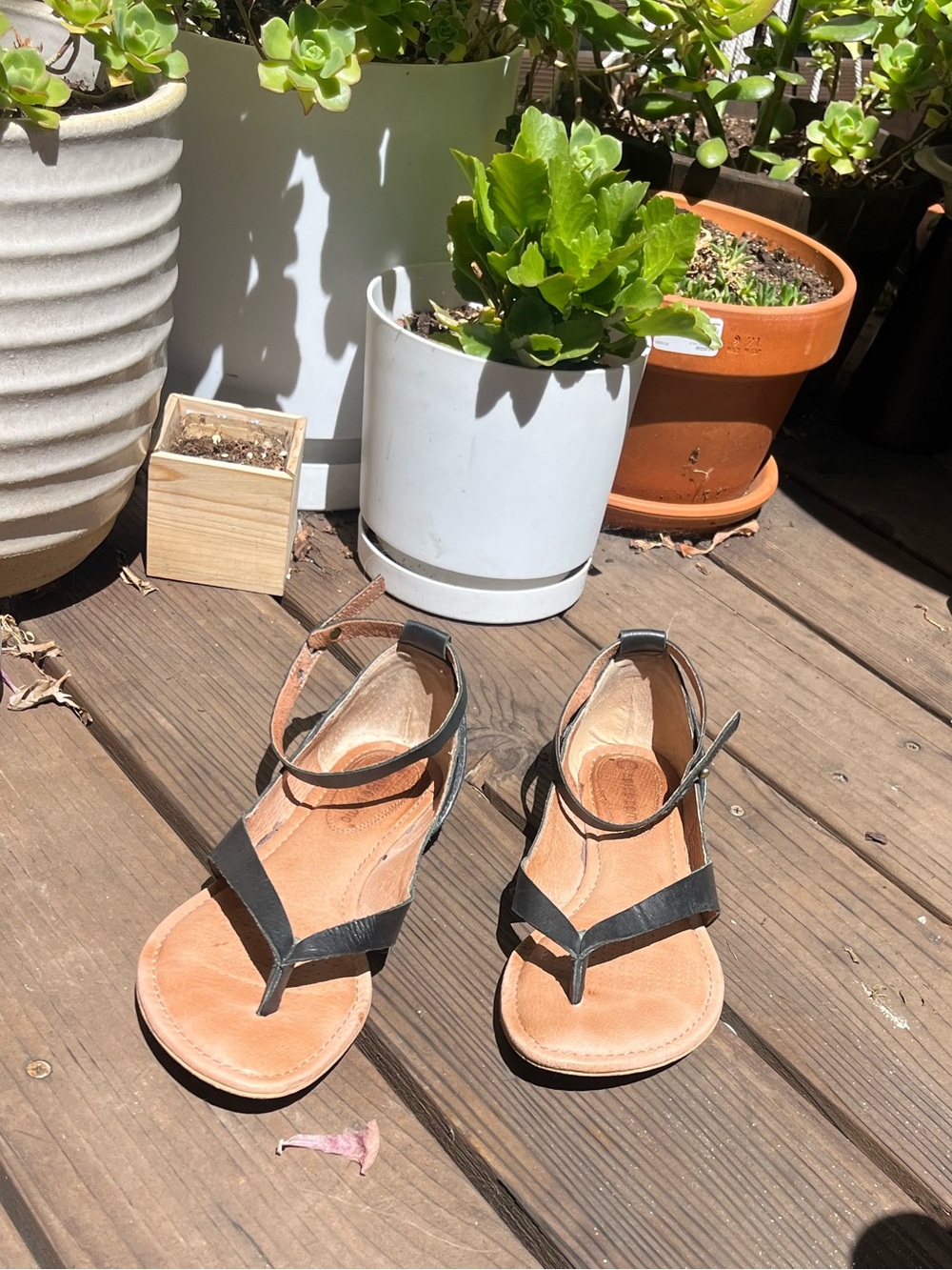 Corso Como - Black Leather Sandalswith Supportive ankle straps - Picture 3 of 5